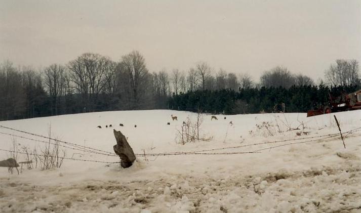 Bob Warfield residence, Hale, Mich..jpg